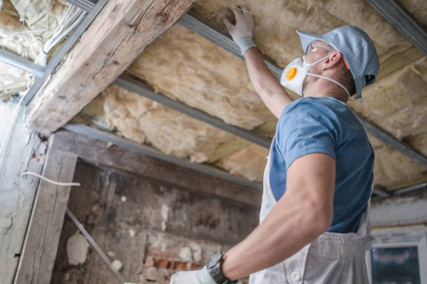 Best Insulation Installation Services in Manning, IA